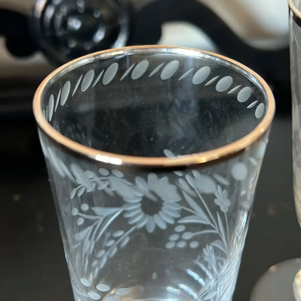 Pottery Barn Etched Glass Tumbler & Goblet
